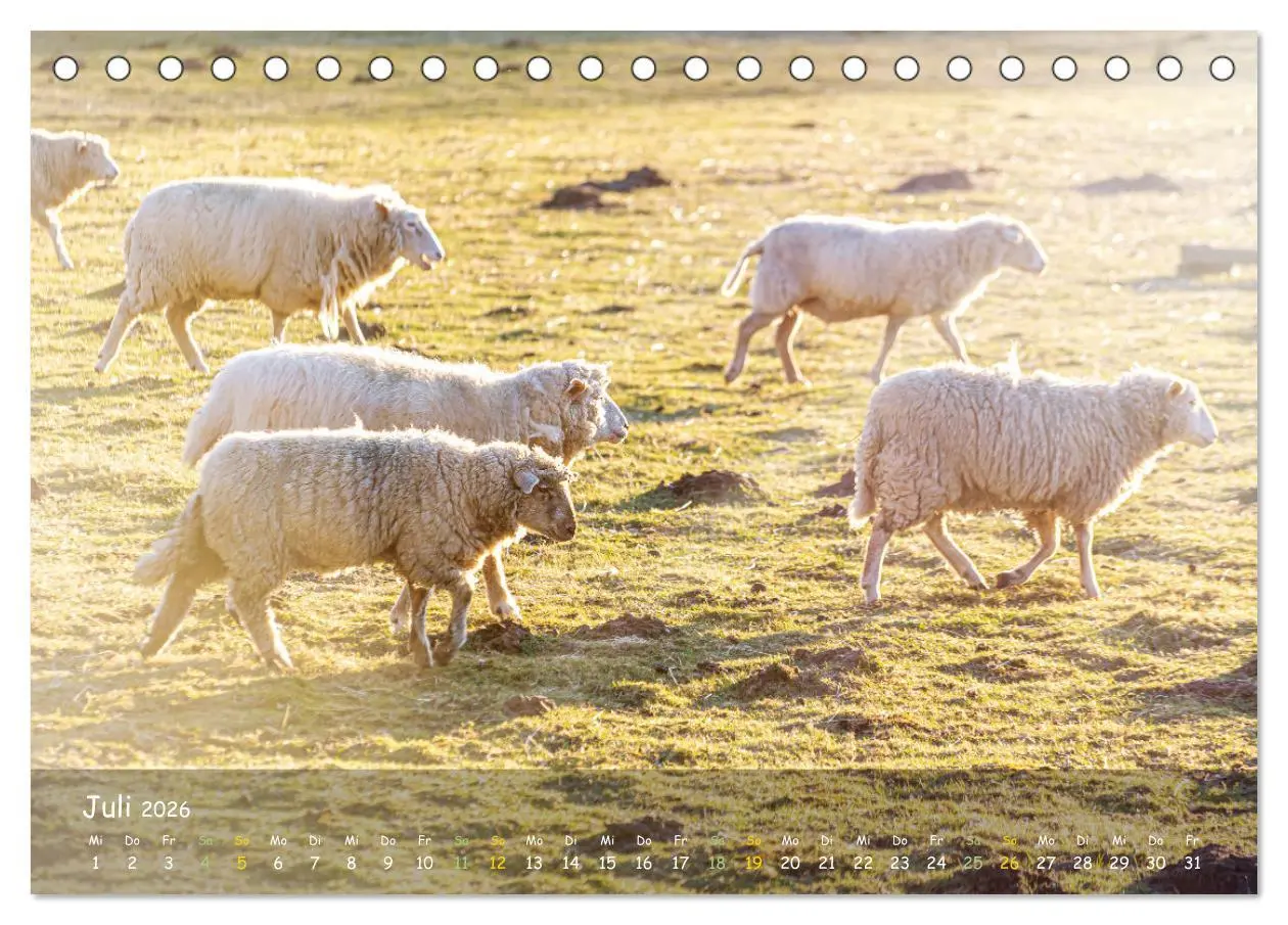 Bild: 9783457662762 | Zauberhaftes Norderstedt (Tischkalender 2026 DIN A5 quer), CALVENDO...