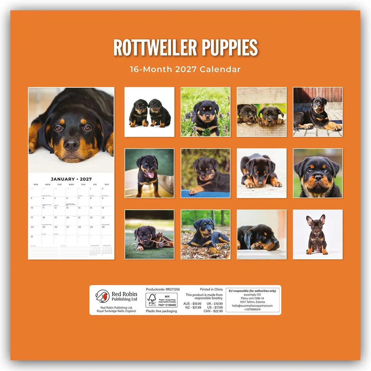 Bild: 9781837012862 | Rottweiler Puppies - Rottweiler Welpen 2027 - 16-Monatskalender | Red