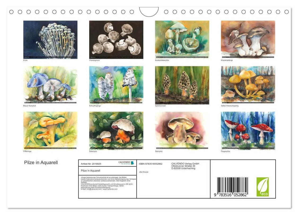 Bild: 9783516052862 | Pilze in Aquarell (Wandkalender 2026 DIN A4 quer), CALVENDO...