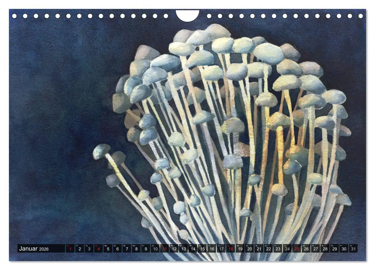 Bild: 9783516052862 | Pilze in Aquarell (Wandkalender 2026 DIN A4 quer), CALVENDO...