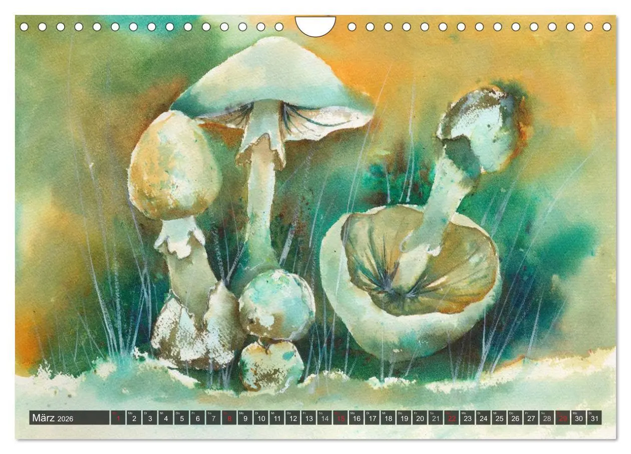Bild: 9783516052862 | Pilze in Aquarell (Wandkalender 2026 DIN A4 quer), CALVENDO...