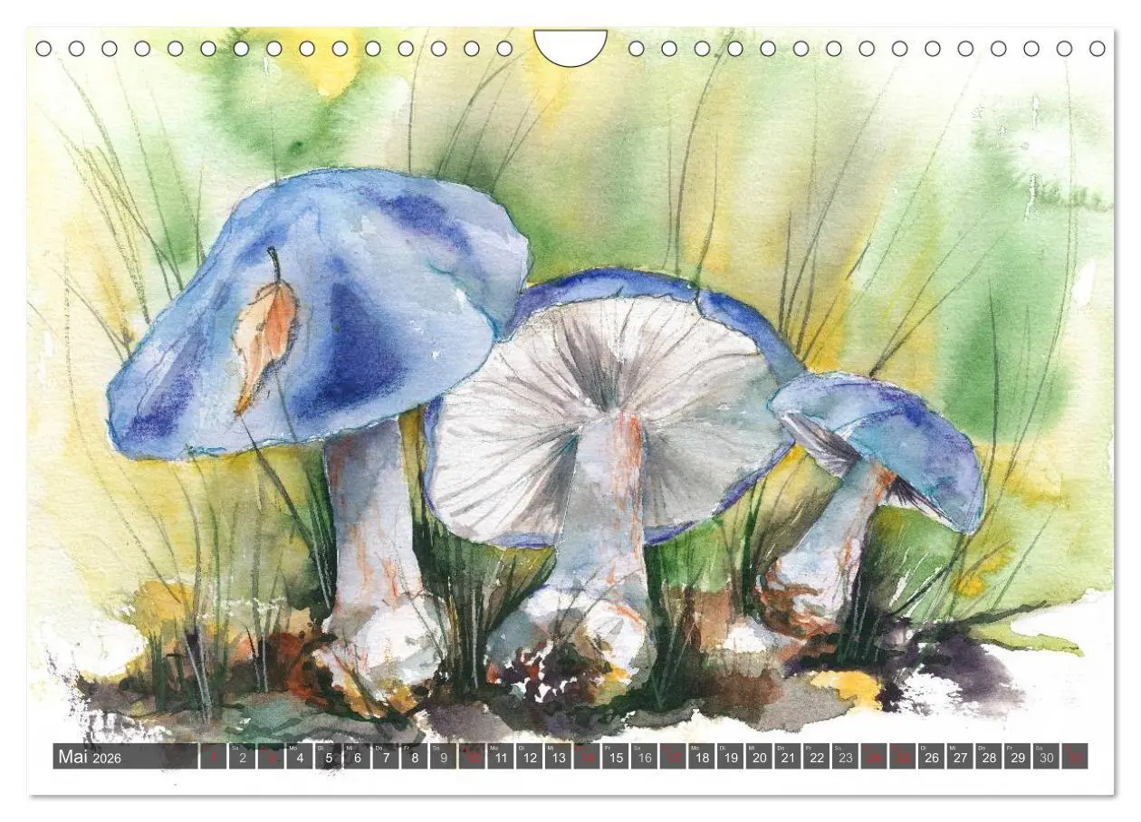 Bild: 9783516052862 | Pilze in Aquarell (Wandkalender 2026 DIN A4 quer), CALVENDO...