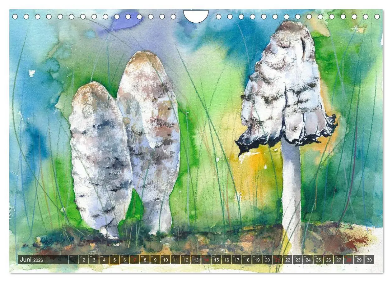 Bild: 9783516052862 | Pilze in Aquarell (Wandkalender 2026 DIN A4 quer), CALVENDO...