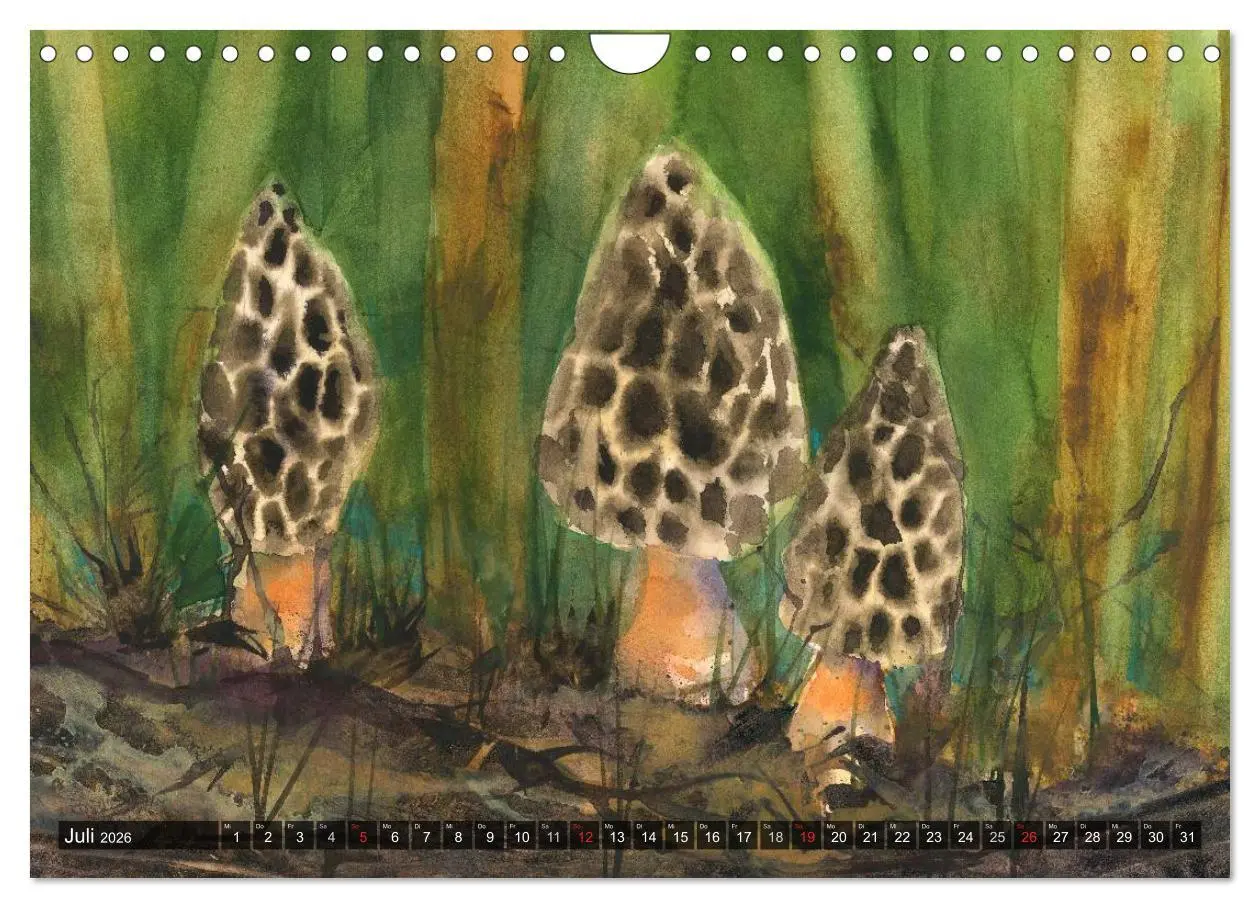 Bild: 9783516052862 | Pilze in Aquarell (Wandkalender 2026 DIN A4 quer), CALVENDO...