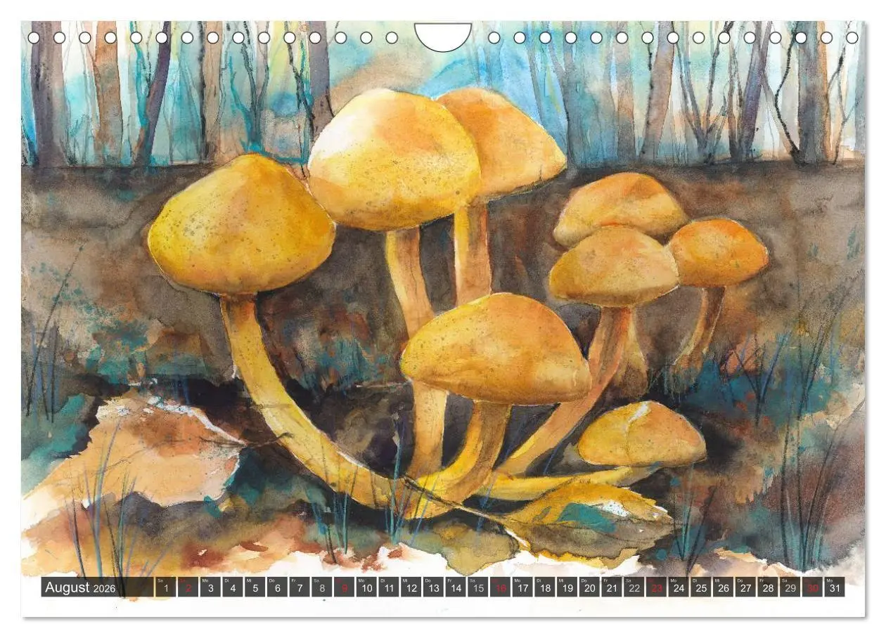 Bild: 9783516052862 | Pilze in Aquarell (Wandkalender 2026 DIN A4 quer), CALVENDO...