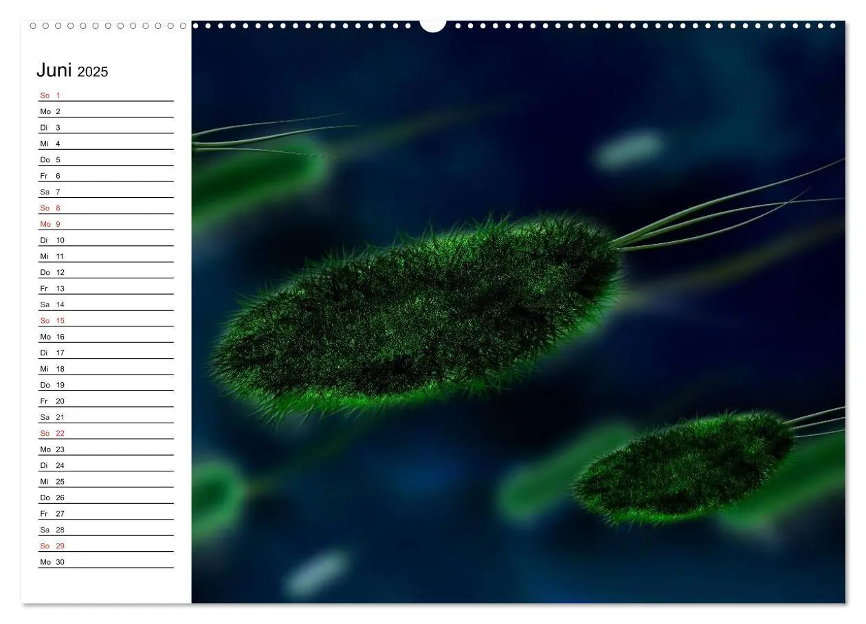 Bild: 9783435482962 | Mikrobiologie. Mikroorganismen, Genetik und Zellen (Wandkalender...