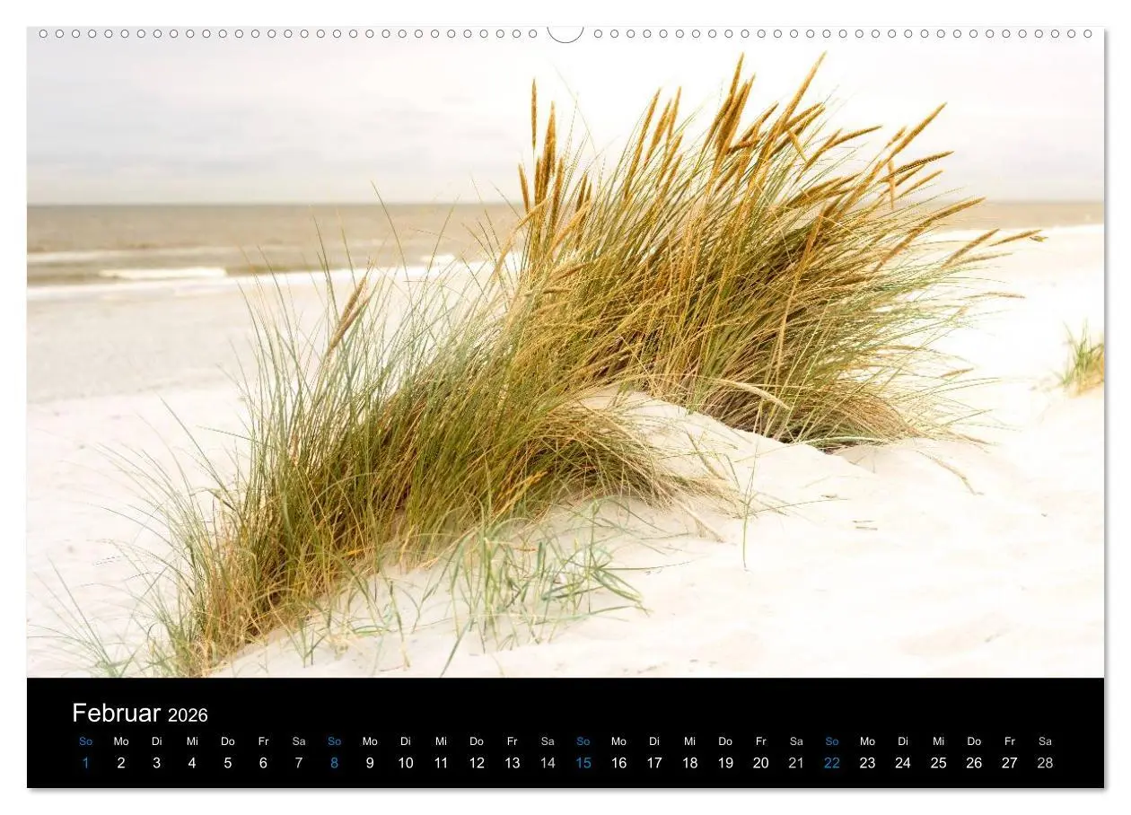 Bild: 9783457952962 | Grüße aus Texel (Wandkalender 2026 DIN A2 quer), CALVENDO...