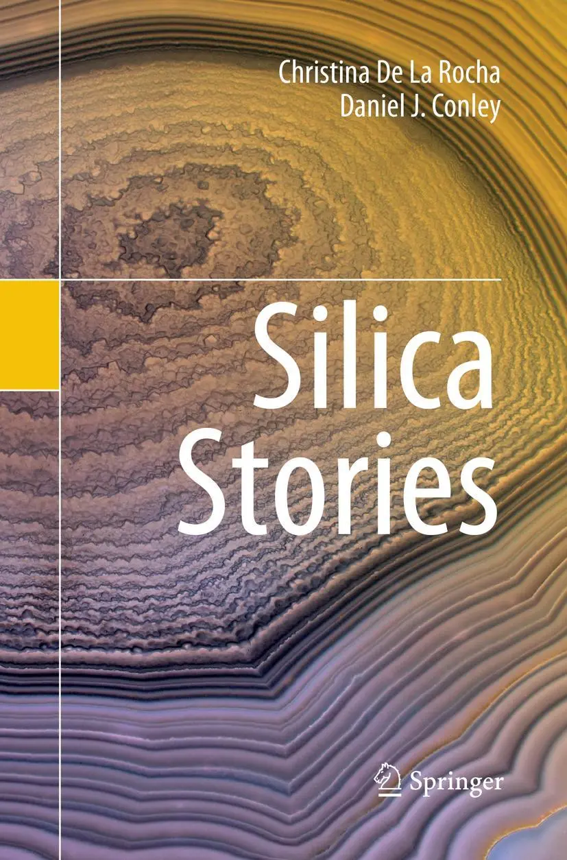 Cover: 9783319853062 | Silica Stories | Christina De La Rocha (u. a.) | Taschenbuch | xi