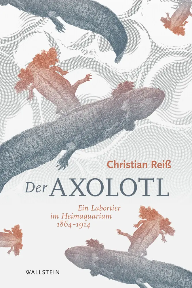 Cover: 9783835333062 | Der Axolotl | Ein Labortier im Heimaquarium 1864 -1914 | Reiß | Buch