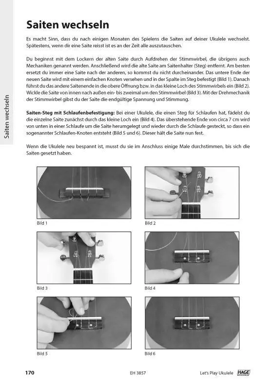 Bild: 9783866263062 | Let's Play Ukulele (mit 2 CDs) | Songbook und Ukulelenschule | Buch