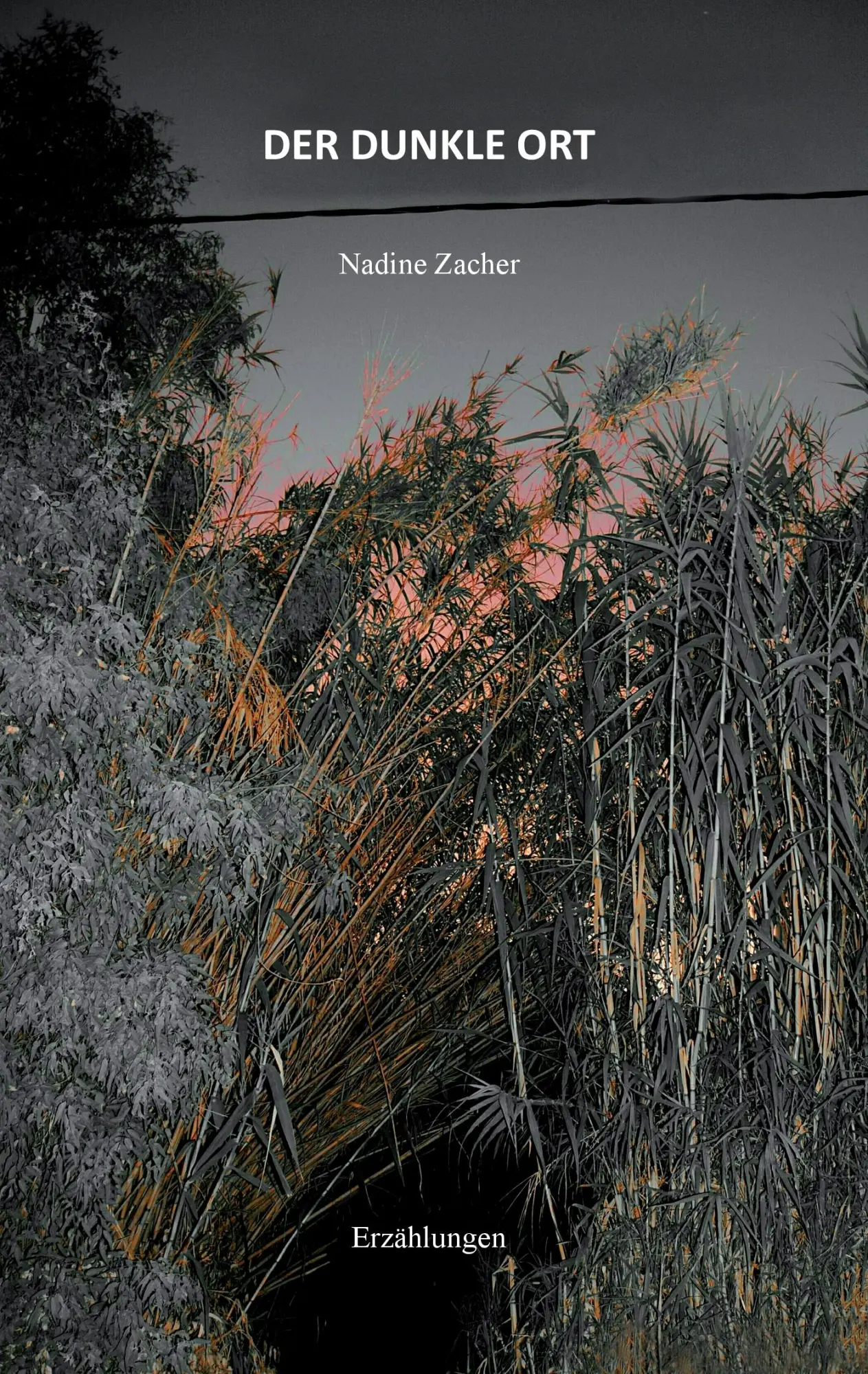 Cover: 9783741273162 | Der dunkle Ort | Nadine Zacher | Taschenbuch | 448 S. | Deutsch | 2016