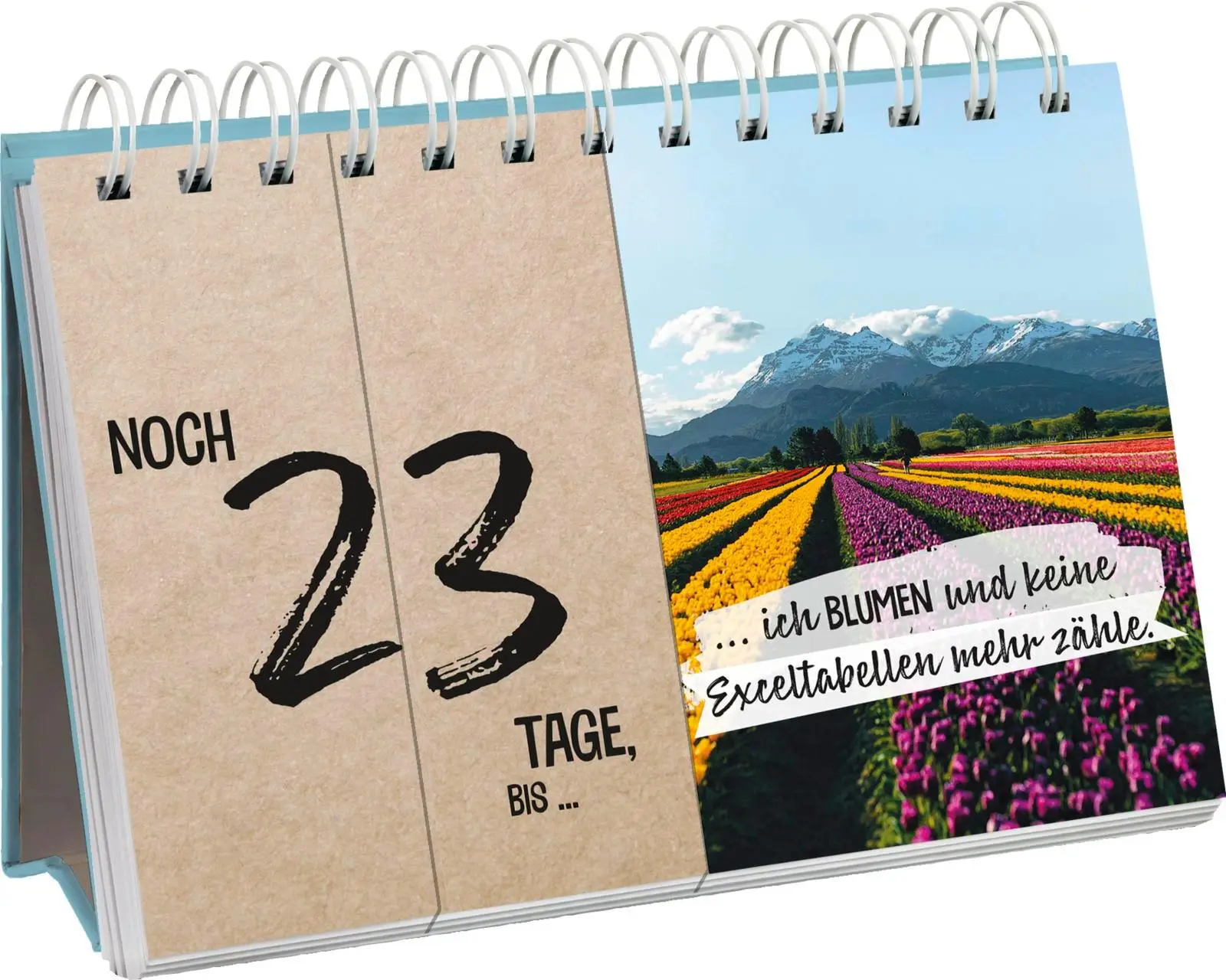 Bild: 9783848503162 | Mein Urlaubscountdown | Groh Verlag | Taschenbuch | 26 S. | Deutsch