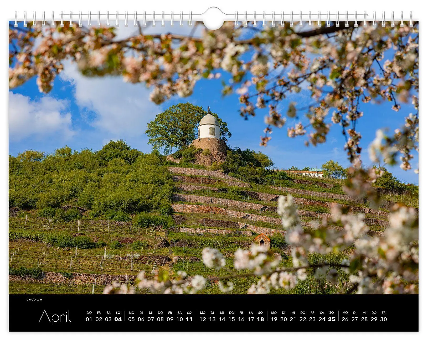 Bild: 9783912303162 | Kalender Radebeul 2027 | 40 x 30 cm schwarzes Kalendarium | Schubert
