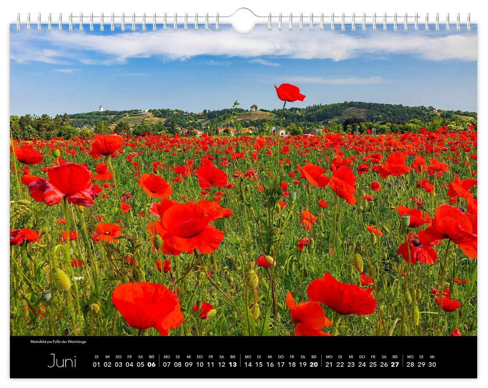 Bild: 9783912303162 | Kalender Radebeul 2027 | 40 x 30 cm schwarzes Kalendarium | Schubert