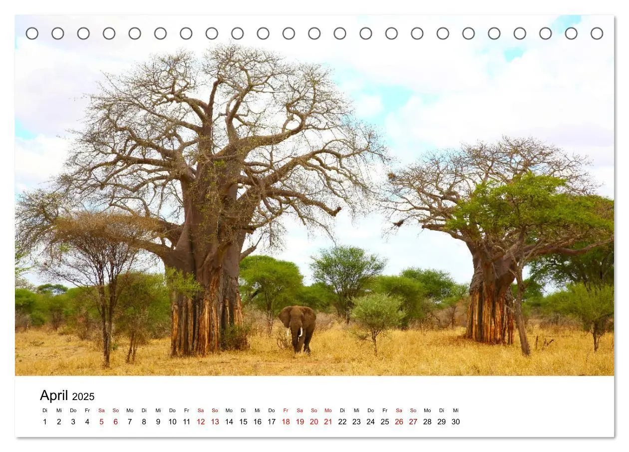 Bild: 9783435353262 | Blickpunkte Tansanias (Tischkalender 2025 DIN A5 quer), CALVENDO...