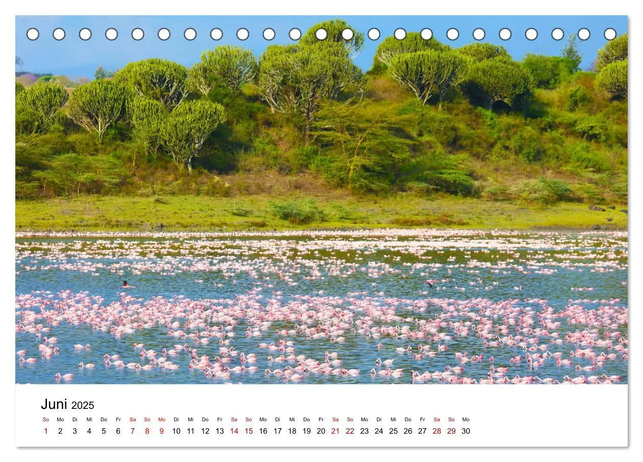 Bild: 9783435353262 | Blickpunkte Tansanias (Tischkalender 2025 DIN A5 quer), CALVENDO...