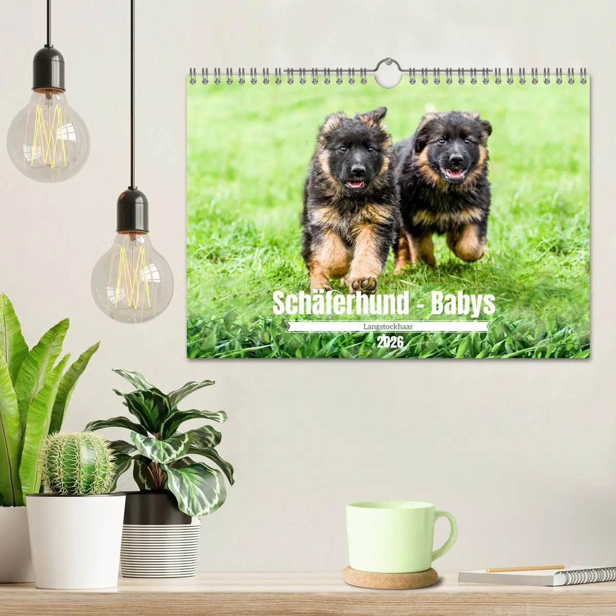 Bild: 9783457373262 | Langstockhaar - Schäferhund - Babys (Wandkalender 2026 DIN A4...