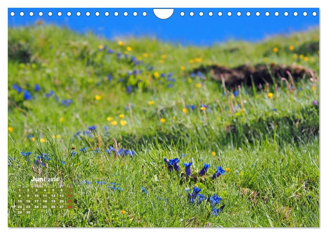 Bild: 9783457683262 | Großglockner, Alpen, Murmeltiere &amp; mehr by VogtArt (Wandkalender...