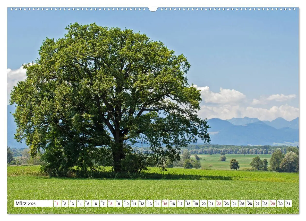 Bild: 9783457753262 | Chiemsee - Sommerferien am bayrischen Meer (Wandkalender 2026 DIN...