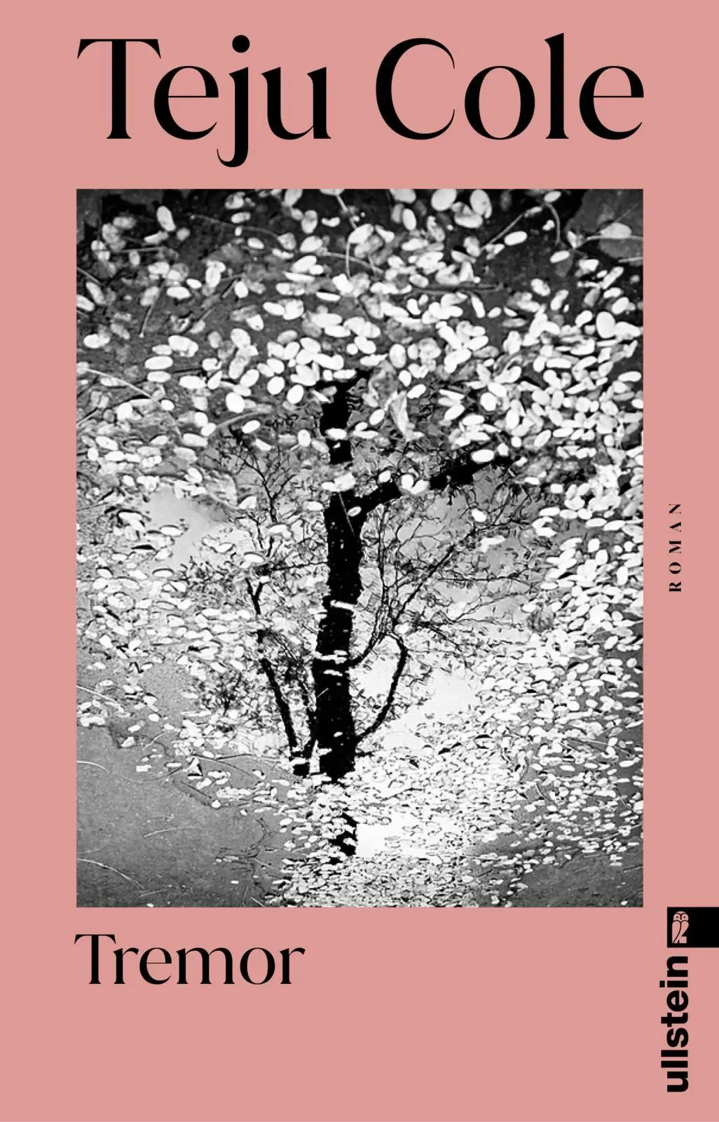 Cover: 9783548073262 | Tremor | Teju Cole | Taschenbuch | 288 S. | Deutsch | 2025