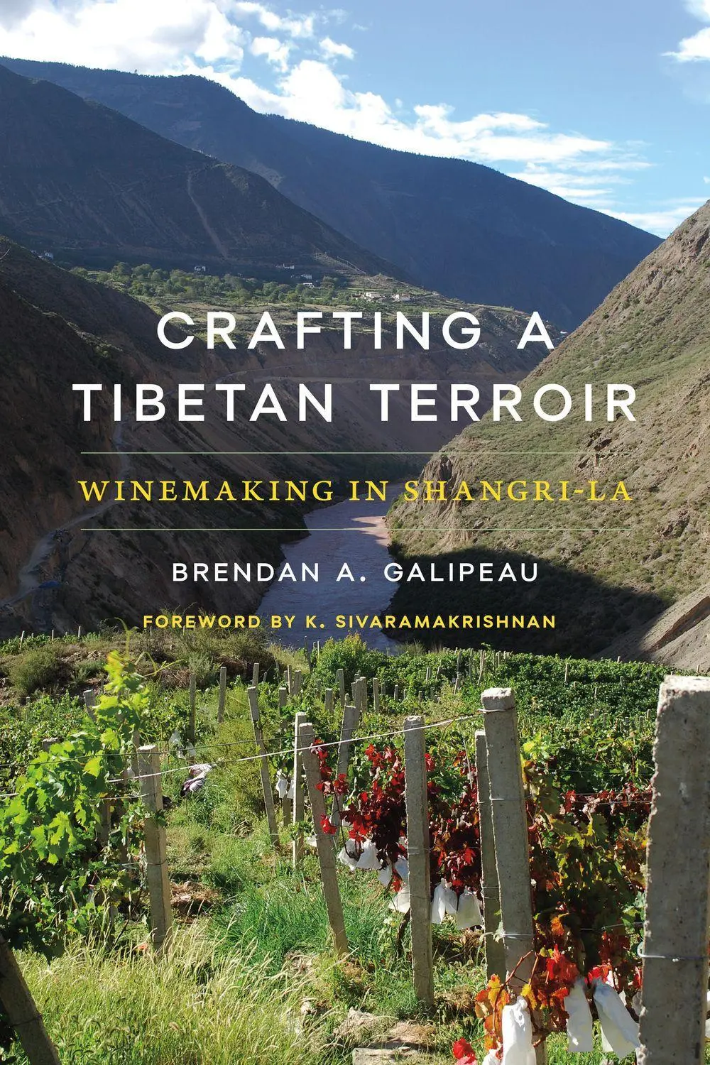Cover: 9780295753362 | Crafting a Tibetan Terroir | Winemaking in Shangri-La | Galipeau