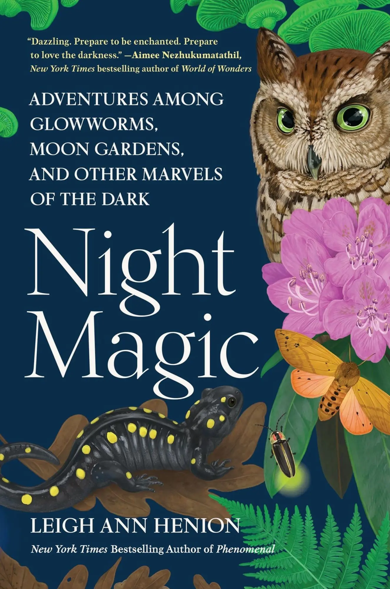 Cover: 9781643753362 | Night Magic | Leigh Ann Henion | Buch | Englisch | 2025