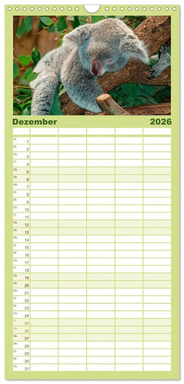 Bild: 9783516523362 | Familienplaner 2026 - Koala - kleiner Teddy mit 5 Spalten...