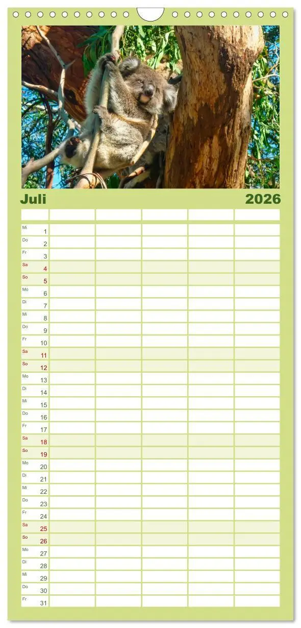 Bild: 9783516523362 | Familienplaner 2026 - Koala - kleiner Teddy mit 5 Spalten...
