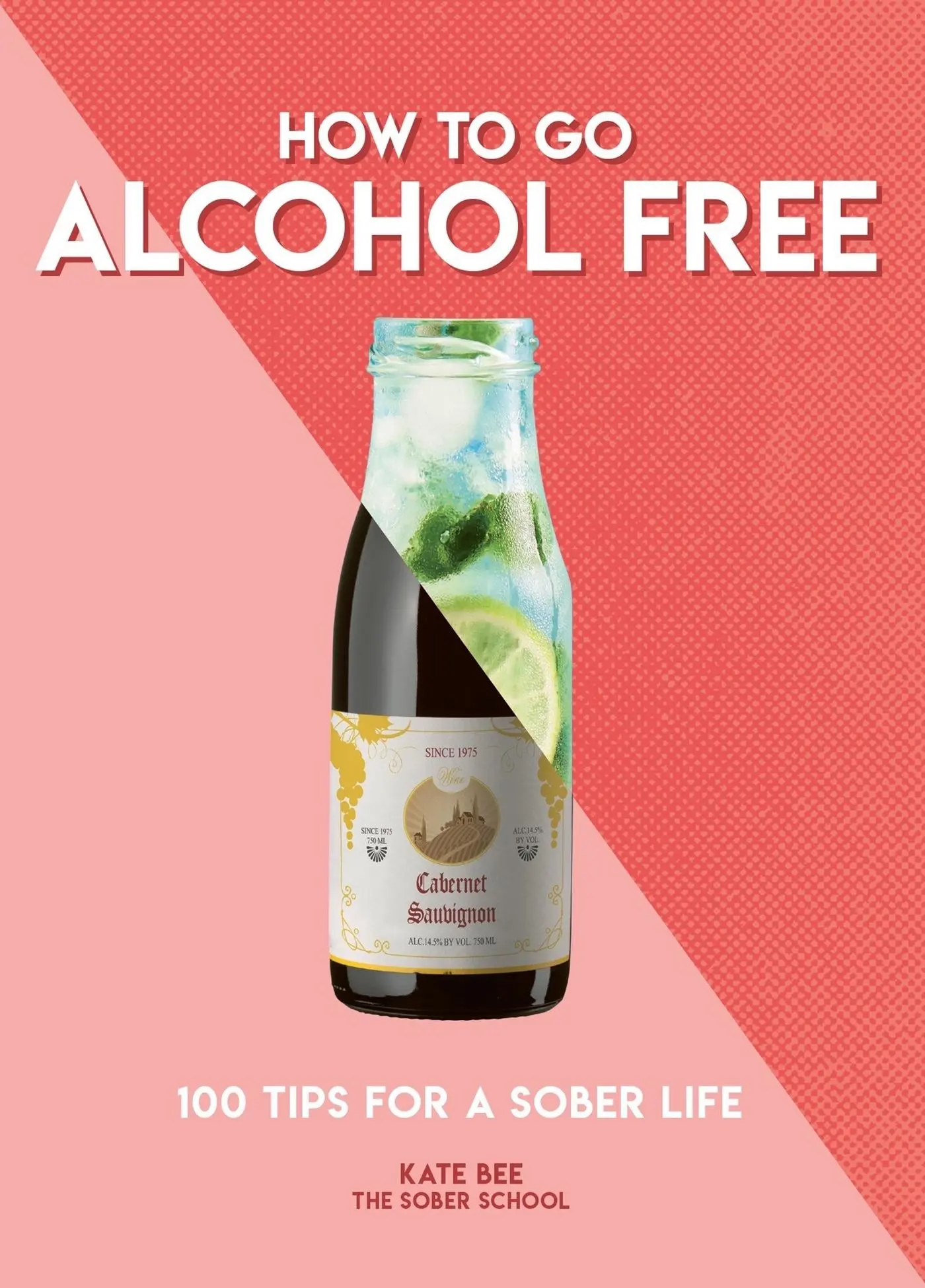 Cover: 9781787393462 | How to Go Alcohol Free | 101 Tips for a Sober Life | Kate Bee | Buch