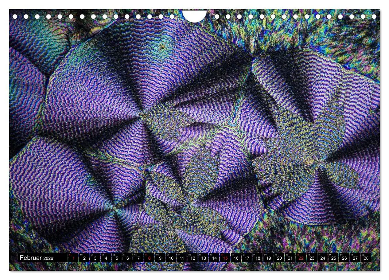 Bild: 9783516063462 | Mikrokristalle in polarisiertem Licht (Wandkalender 2026 DIN A4...