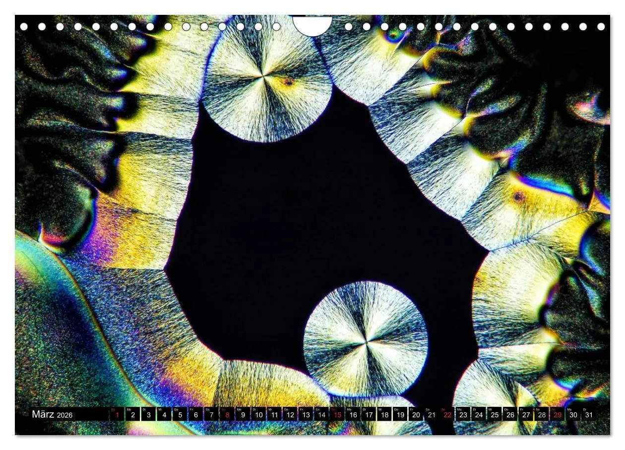 Bild: 9783516063462 | Mikrokristalle in polarisiertem Licht (Wandkalender 2026 DIN A4...