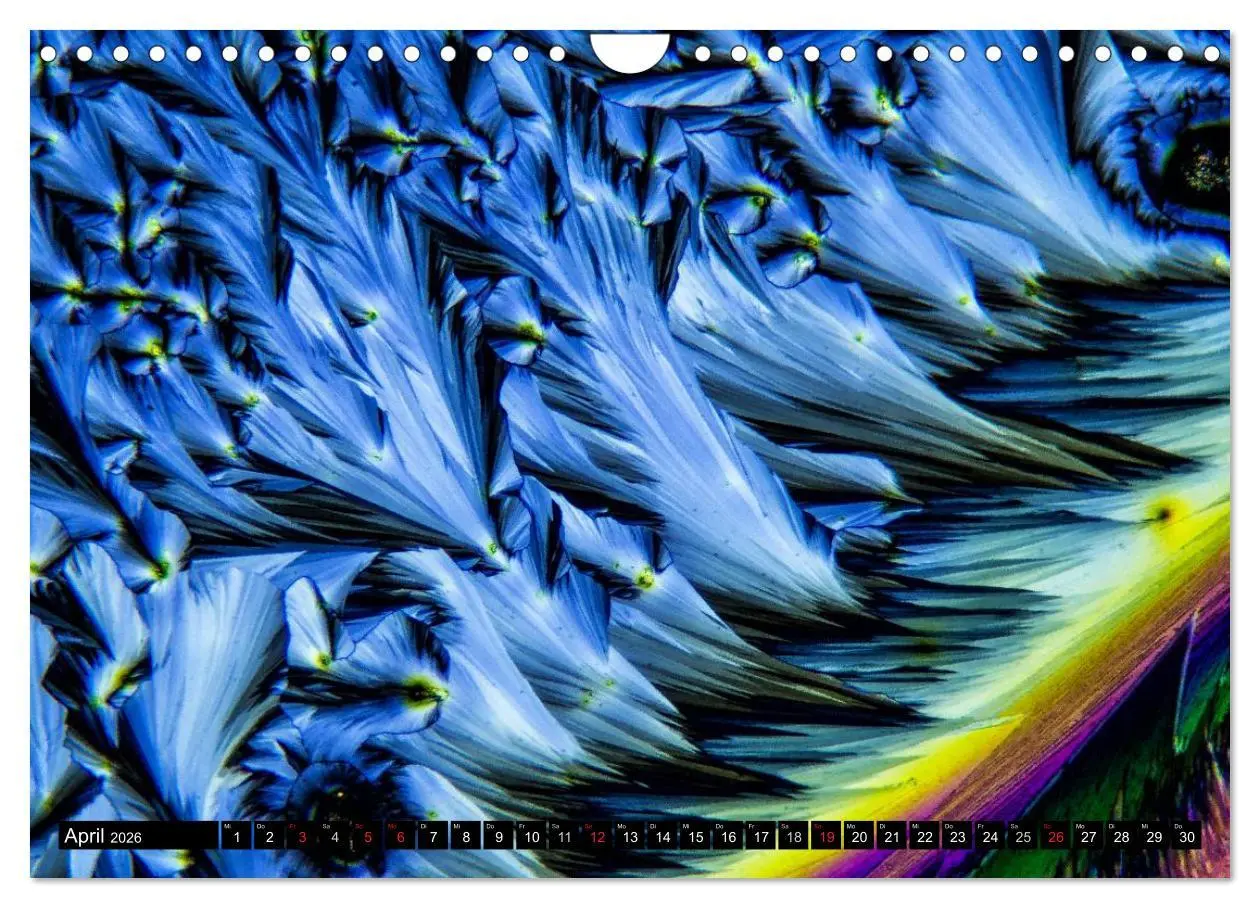 Bild: 9783516063462 | Mikrokristalle in polarisiertem Licht (Wandkalender 2026 DIN A4...