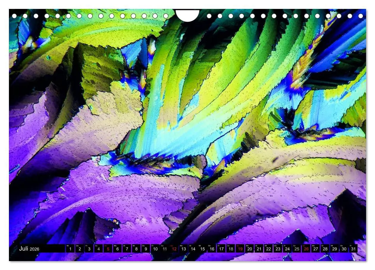 Bild: 9783516063462 | Mikrokristalle in polarisiertem Licht (Wandkalender 2026 DIN A4...