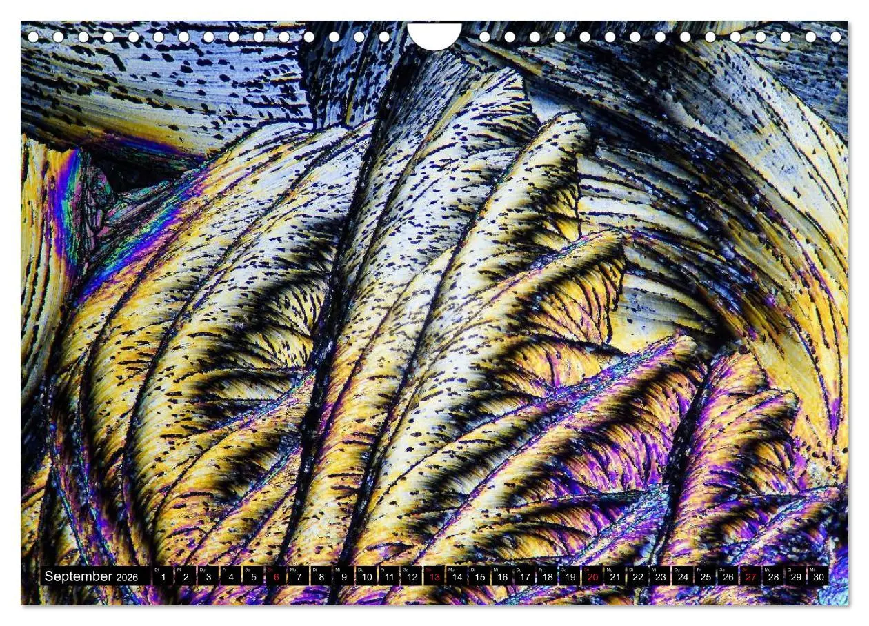 Bild: 9783516063462 | Mikrokristalle in polarisiertem Licht (Wandkalender 2026 DIN A4...
