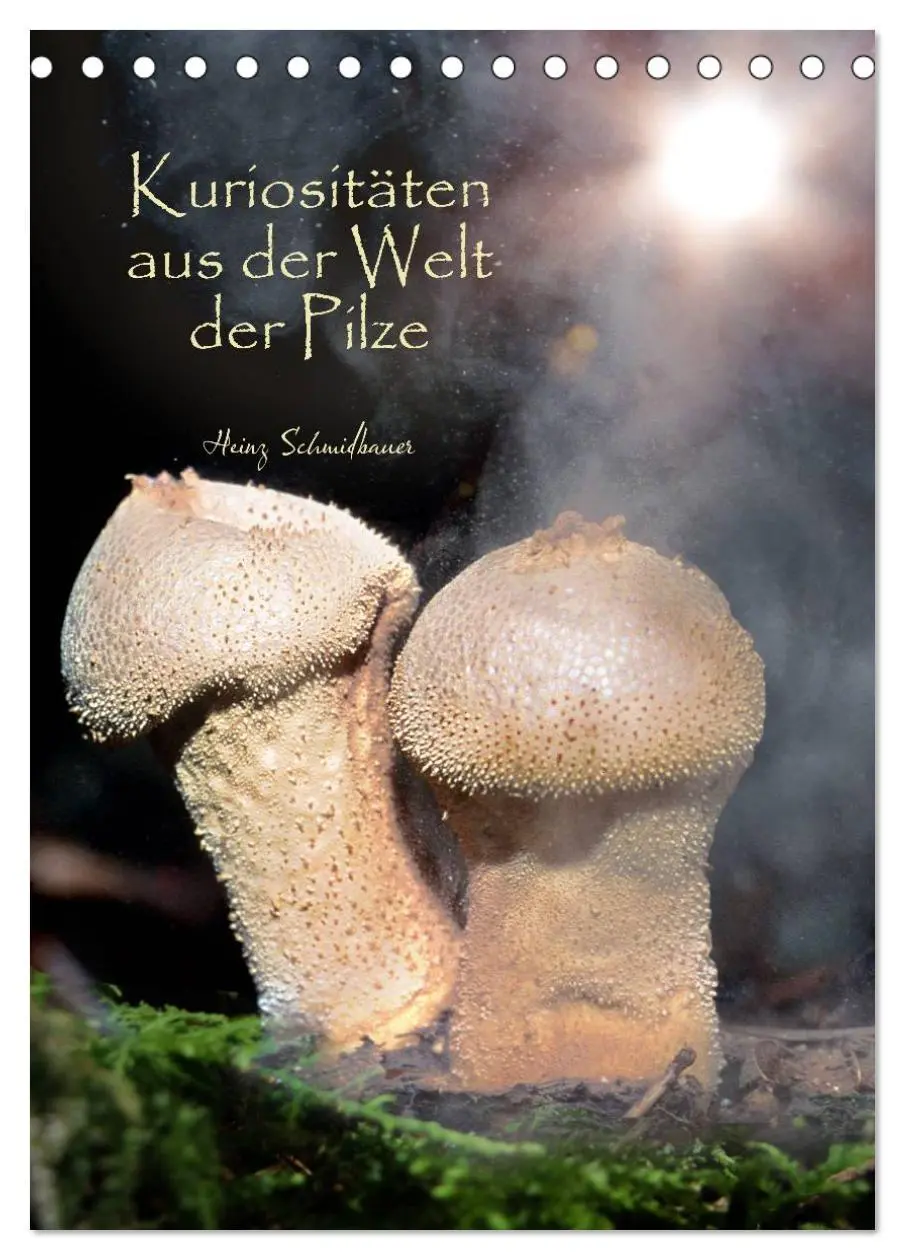 Cover: 9783516443462 | Kuriositäten aus der Welt der Pilze (Tischkalender 2026 DIN A5...