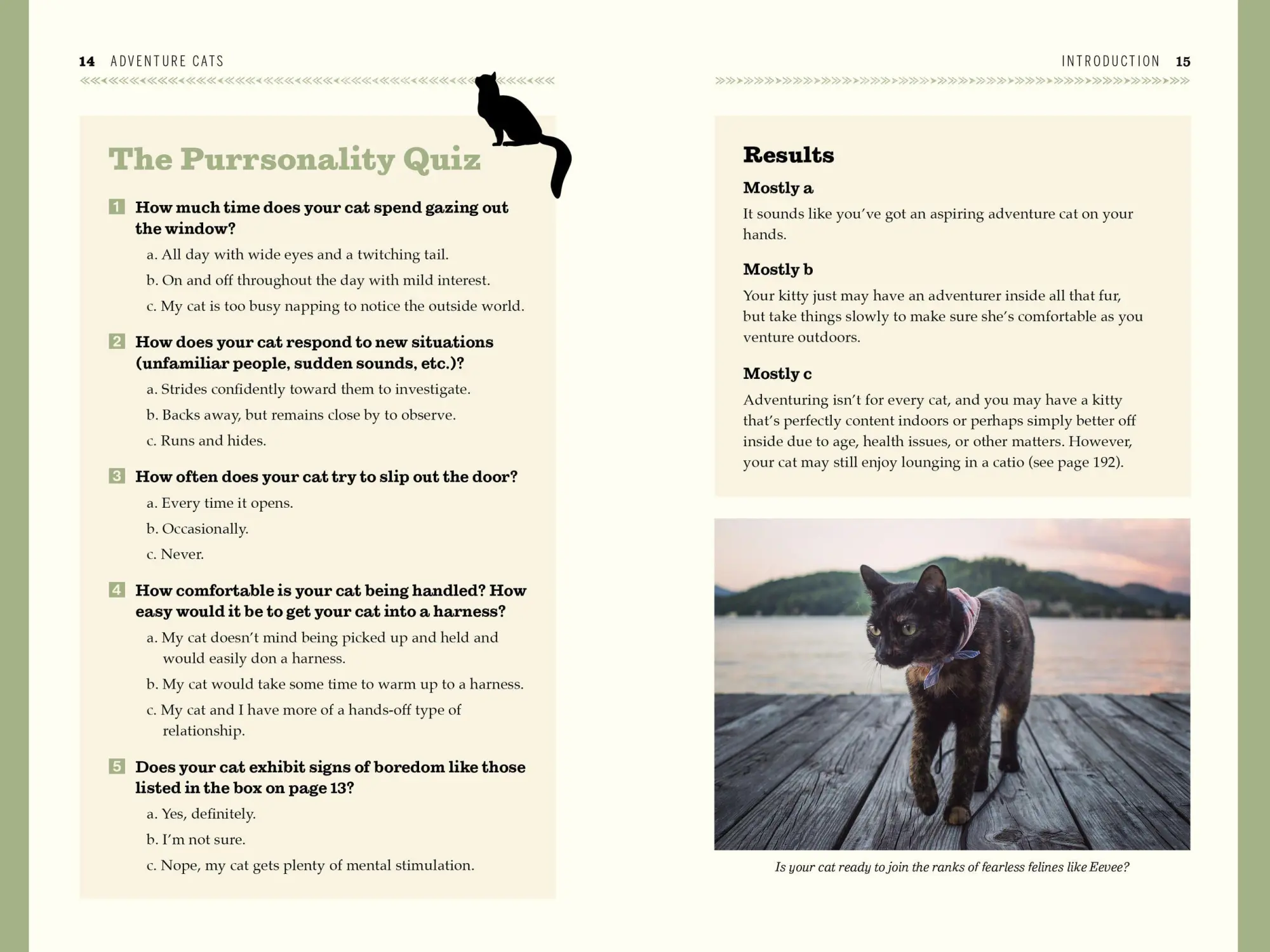 Bild: 9780761193562 | Adventure Cats | Living Nine Lives to the Fullest | Laura J Moss