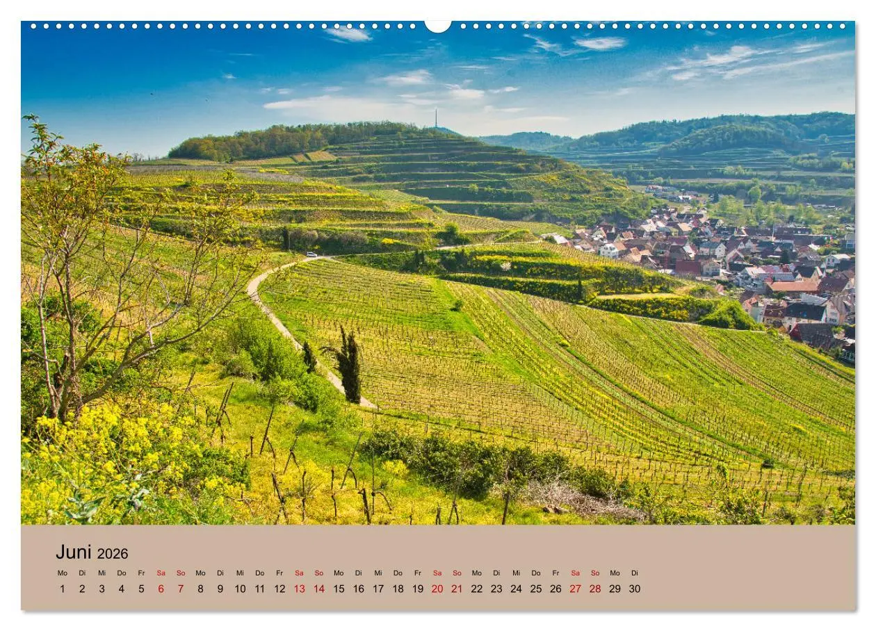 Bild: 9783457273562 | Kaiserstuhlblicke (Wandkalender 2026 DIN A2 quer), CALVENDO...