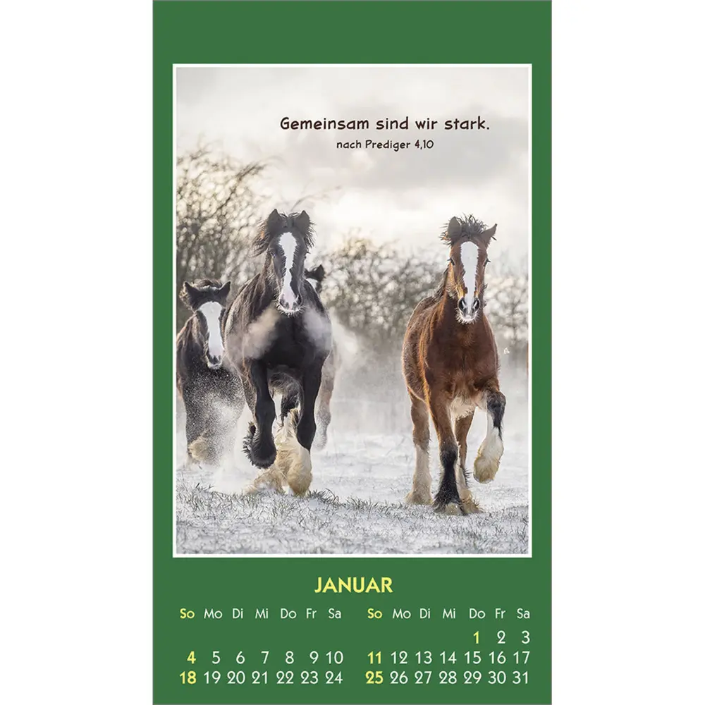 Bild: 9783754893562 | Hallo Du 2026 | Mini-Aufkleber-Kalender | Kalender | Spiralbindung