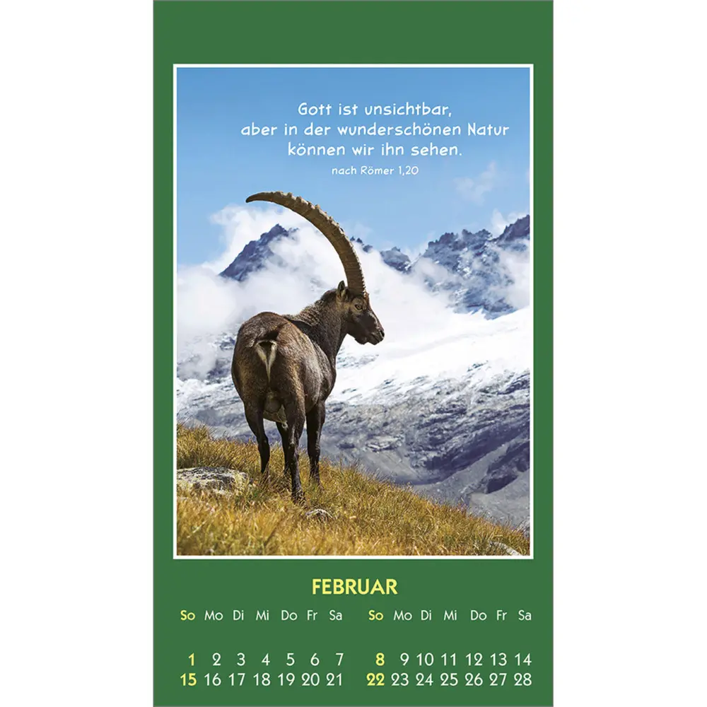 Bild: 9783754893562 | Hallo Du 2026 | Mini-Aufkleber-Kalender | Kalender | Spiralbindung