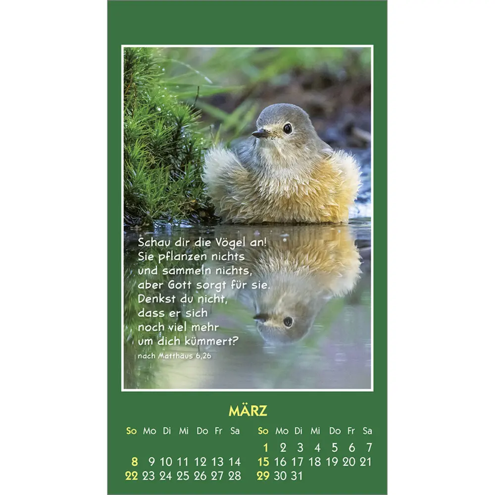 Bild: 9783754893562 | Hallo Du 2026 | Mini-Aufkleber-Kalender | Kalender | Spiralbindung