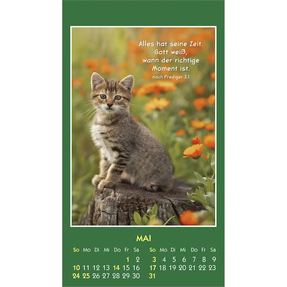 Bild: 9783754893562 | Hallo Du 2026 | Mini-Aufkleber-Kalender | Kalender | Spiralbindung