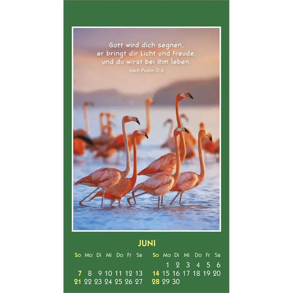 Bild: 9783754893562 | Hallo Du 2026 | Mini-Aufkleber-Kalender | Kalender | Spiralbindung