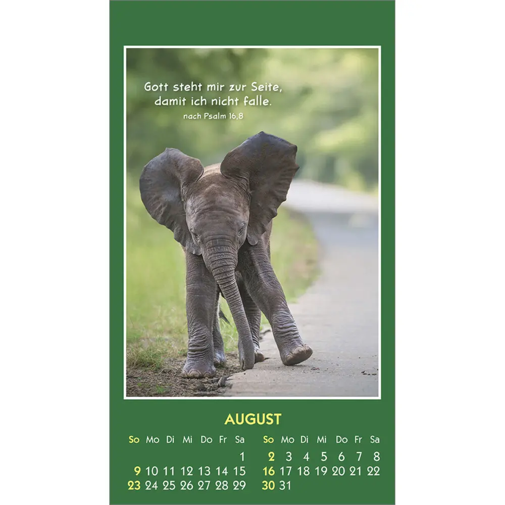 Bild: 9783754893562 | Hallo Du 2026 | Mini-Aufkleber-Kalender | Kalender | Spiralbindung