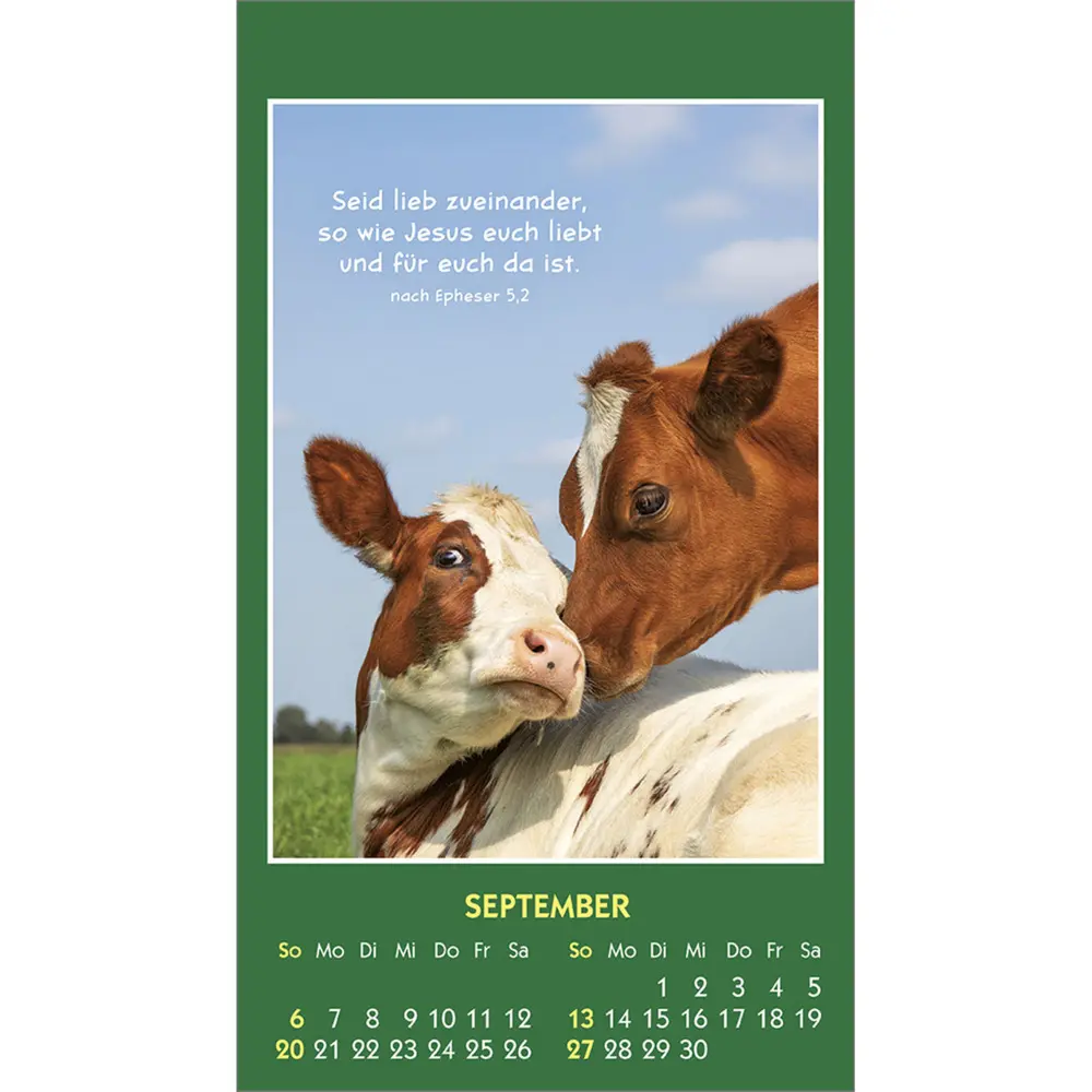 Bild: 9783754893562 | Hallo Du 2026 | Mini-Aufkleber-Kalender | Kalender | Spiralbindung