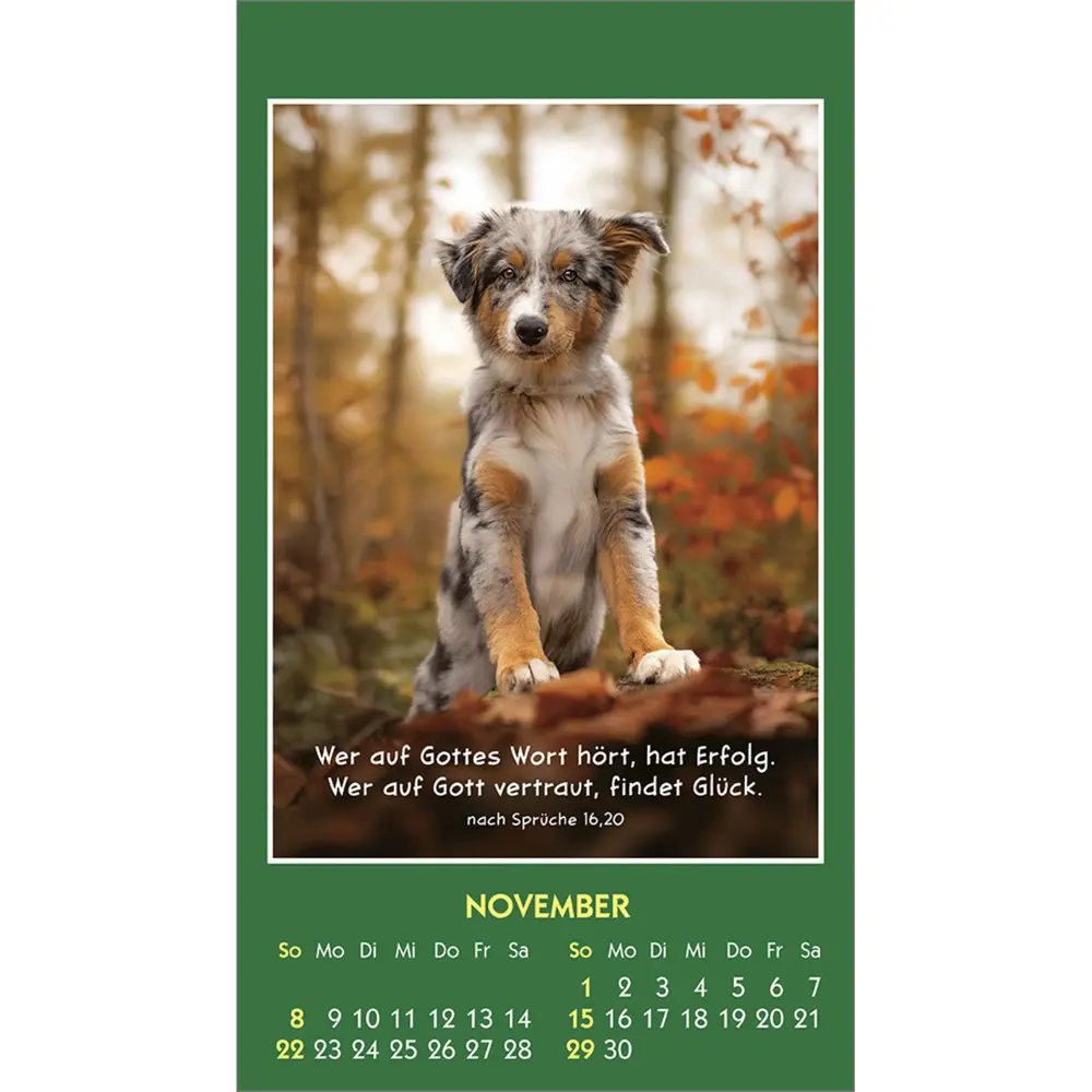 Bild: 9783754893562 | Hallo Du 2026 | Mini-Aufkleber-Kalender | Kalender | Spiralbindung