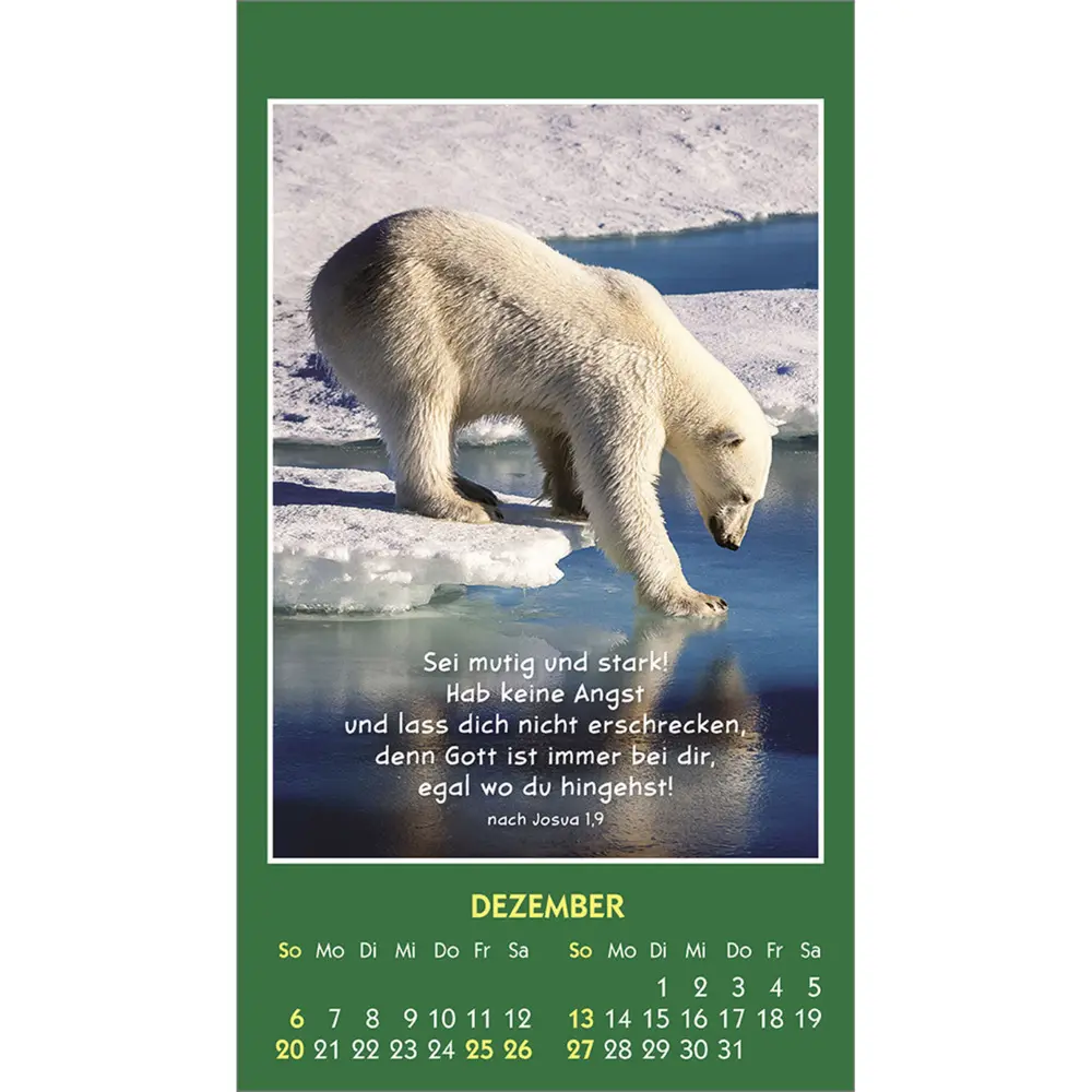 Bild: 9783754893562 | Hallo Du 2026 | Mini-Aufkleber-Kalender | Kalender | Spiralbindung