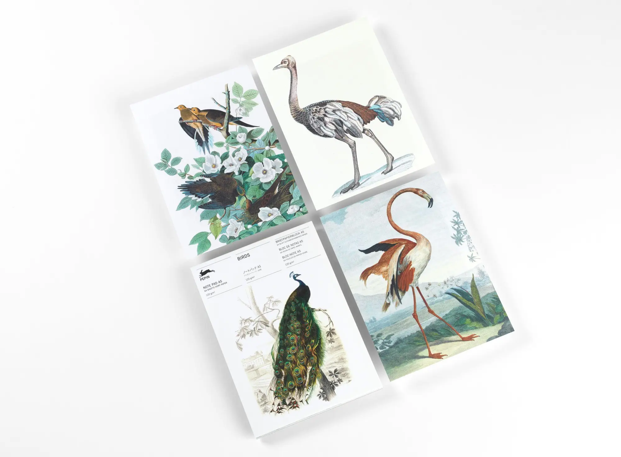 Bild: 9789460093562 | Birds | Writing Paper &amp; Note Pad A5 | Pepin Van Roojen | Deutsch