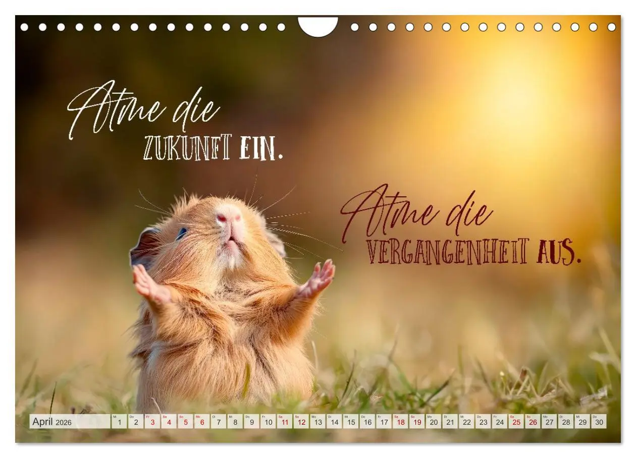Bild: 9783516593662 | SEELENZEIT Ein Jahr voller Achtsamkeit (Wandkalender 2026 DIN A4...