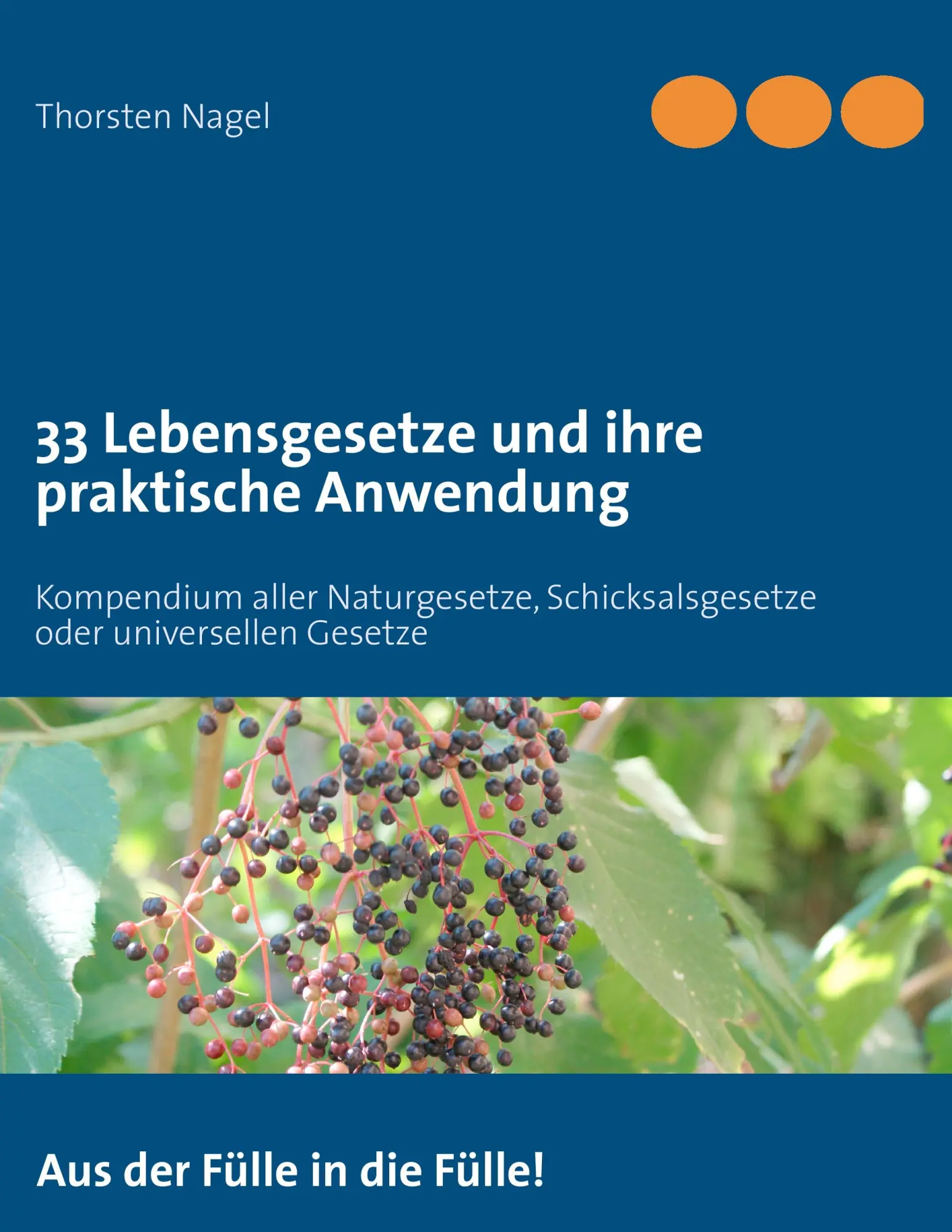 Cover: 9783842373662 | 33 Lebensgesetze und ihre praktische Anwendung | Thorsten Nagel | Buch
