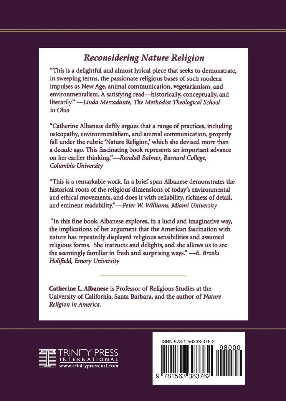 Rückseite: 9781563383762 | Reconsidering Nature Religion | Catherine L. Albanese | Taschenbuch